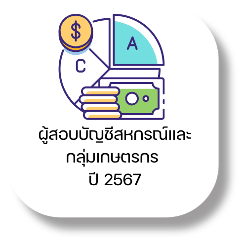 Auditing07