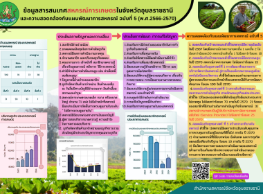 อินโฟกราฟฟิกแผนพัฒนาสหกรณ์ พารามิเตอร์รูปภาพ 9