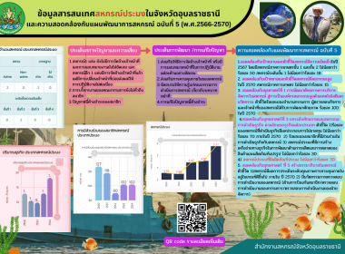 อินโฟกราฟฟิกแผนพัฒนาสหกรณ์ พารามิเตอร์รูปภาพ 10