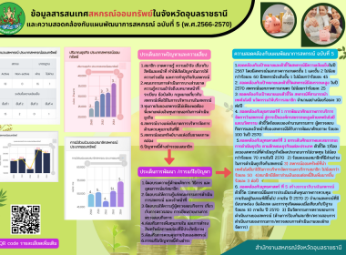 อินโฟกราฟฟิกแผนพัฒนาสหกรณ์ พารามิเตอร์รูปภาพ 11