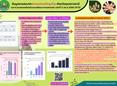 อินโฟกราฟฟิกแผนพัฒนาสหกรณ์ พารามิเตอร์รูปภาพ 12