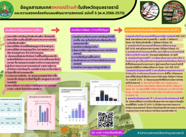 อินโฟกราฟฟิกแผนพัฒนาสหกรณ์ พารามิเตอร์รูปภาพ 13