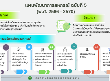 อินโฟกราฟฟิกแผนพัฒนาสหกรณ์ พารามิเตอร์รูปภาพ 1