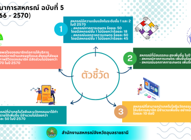 อินโฟกราฟฟิกแผนพัฒนาสหกรณ์ พารามิเตอร์รูปภาพ 2