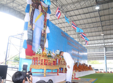 วันที่ 12 สิงหาคม 2566 นางอัญชลี ศรีหามาตย์ ... พารามิเตอร์รูปภาพ 9