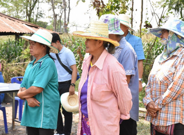 นายวิศิษฐ์ ศรีสุวรรณ์ อธิบดีกรมส่งเสริมสหกรณ์ ... พารามิเตอร์รูปภาพ 9