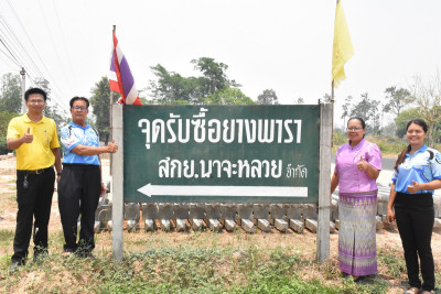 นางสาวทรายทอง ประดับศรี สหกรณ์จังหวัดอุบลราชธานี ... พารามิเตอร์รูปภาพ 1