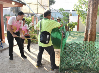 นางสาวทรายทอง ประดับศรี ... พารามิเตอร์รูปภาพ 4