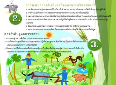 Infographic ของหน่วยงาน พารามิเตอร์รูปภาพ 2