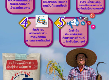 Infographic ของหน่วยงาน พารามิเตอร์รูปภาพ 6