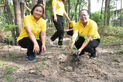 นางสาวทรายทอง ประดับศรี สหกรณ์จังหวัดอุบลราชธานี ... พารามิเตอร์รูปภาพ 1