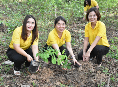 นางสาวทรายทอง ประดับศรี สหกรณ์จังหวัดอุบลราชธานี ... พารามิเตอร์รูปภาพ 3