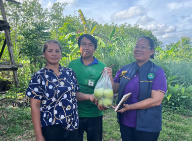 นางสาวทรายทอง ประดับศรี สหกรณ์จังหวัดอุบลราชธานี ... พารามิเตอร์รูปภาพ 6