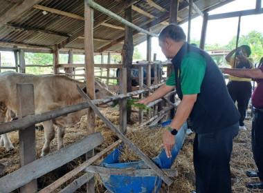 นายณัฐพล แป้นนอก ผู้ตรวจราชการกรม เขตตรวจราชการที่ 11 ,13 ... พารามิเตอร์รูปภาพ 11