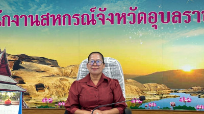 อธิบดีกรมส่งเสริมสหกรณ์ ... พารามิเตอร์รูปภาพ 1