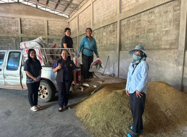 นางสาวทรายทอง ประดับศรี ... พารามิเตอร์รูปภาพ 1