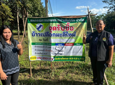 นางสาวทรายทอง ประดับศรี ... พารามิเตอร์รูปภาพ 3