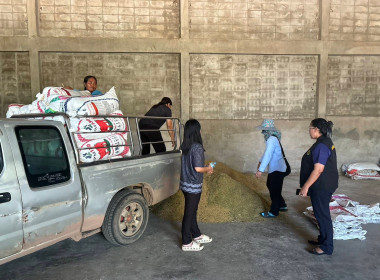 นางสาวทรายทอง ประดับศรี ... พารามิเตอร์รูปภาพ 4