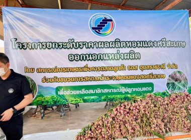 สหกรณ์จังหวัดอุบลฯ ร่วมกับ สกต.ธ.ก.ส. อุบล จำกรัด ... พารามิเตอร์รูปภาพ 2