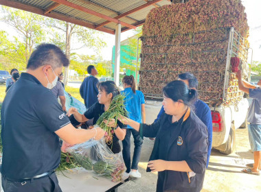 สหกรณ์จังหวัดอุบลฯ ร่วมกับ สกต.ธ.ก.ส. อุบล จำกรัด ... พารามิเตอร์รูปภาพ 3