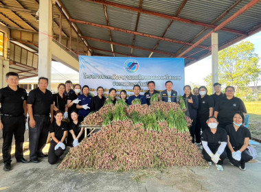 สหกรณ์จังหวัดอุบลฯ ร่วมกับ สกต.ธ.ก.ส. อุบล จำกรัด ... พารามิเตอร์รูปภาพ 4