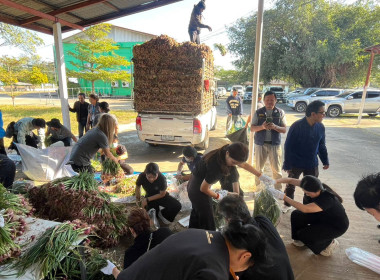 สหกรณ์จังหวัดอุบลฯ ร่วมกับ สกต.ธ.ก.ส. อุบล จำกรัด ... พารามิเตอร์รูปภาพ 5