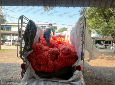นางสาวทรายทอง ประดับศรี สหกรณ์จังหวัดอุบลราชธานี ... พารามิเตอร์รูปภาพ 4