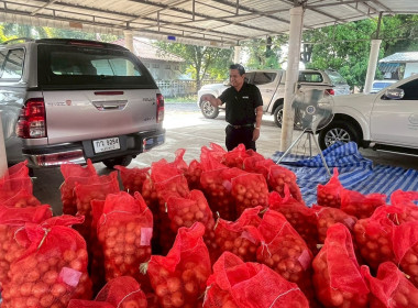นางสาวทรายทอง ประดับศรี สหกรณ์จังหวัดอุบลราชธานี ... พารามิเตอร์รูปภาพ 5